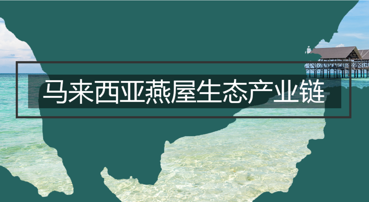 中信富盈燕屋產(chǎn)業(yè)鏈—源自馬來西亞的“燕屋”