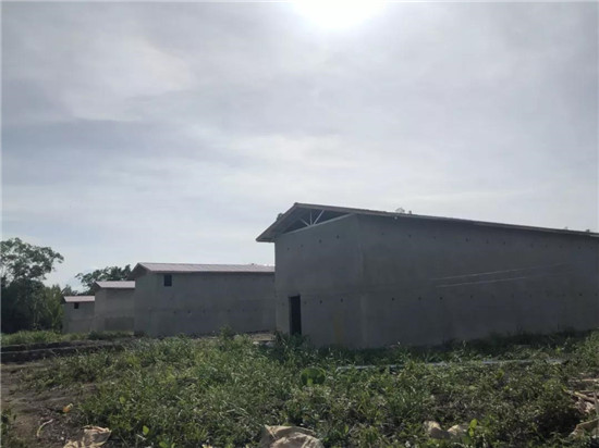 值得一看的海外燕屋投資燕屋搭建手冊